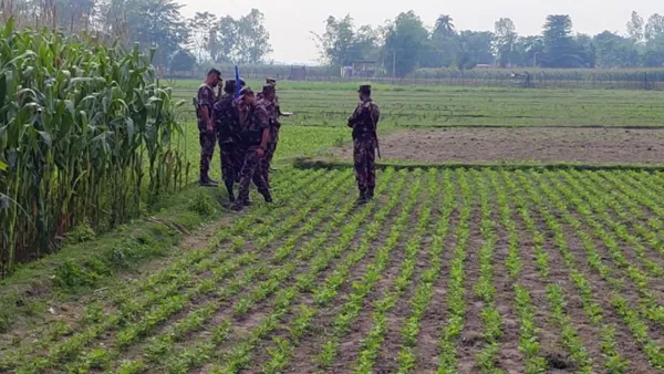 বাংলাদেশি যুবককে কাঁটাতারের বেড়ায় বেঁধে নির্যাতন করল ভারতীয়রা