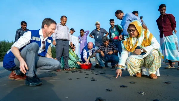 কক্সবাজারে কচ্ছপের বাচ্চা অবমুক্তকরণের মাধ্যমে ধরিত্রী দিবস উদযাপন করল ইউএনডিপি