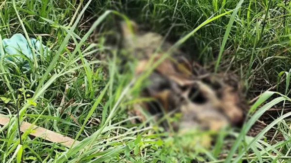 বেগমগঞ্জে অজ্ঞাত নারীর কঙ্কাল উদ্ধার