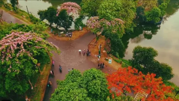 ফুলে ফুলে সেজেছে জাবি