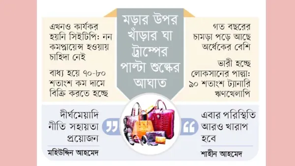 আইসিইউতে চামড়া শিল্প