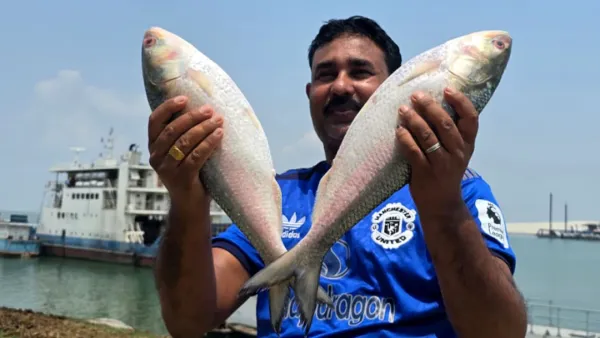 পদ্মার দুই ইলিশ সাড়ে ১০ হাজারে বিক্রি