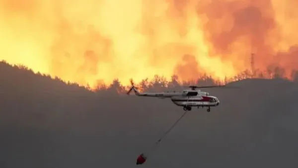এবার কানাডায় দাবানল, সরিয়ে নেওয়া হচ্ছে হাজারো মানুষকে