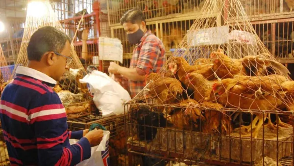 সবজির বাজার স্থিতিশীল, ডিম-মুরগির দাম বৃদ্ধি