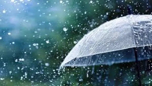 সাগরে লঘুচাপের প্রভাবে দেশের বিভিন্ন অঞ্চলে বৃষ্টির পূর্বাভাস