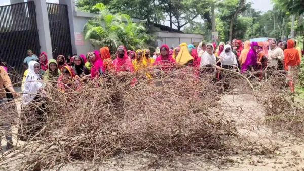 বকেয়া বেতনের দাবিতে গাছ ফেলে সড়ক অবরোধ