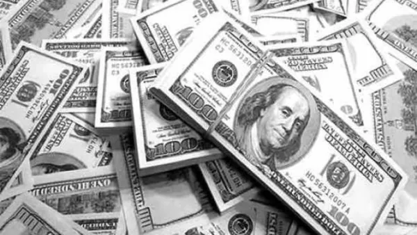 দেশের ১৮-২০ বিলিয়ন ডলার পাচার হয়ে গেছে