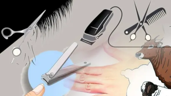 জিলহজ মাসে চুল ও নখ কাটা নিয়ে যা জানা জরুরি