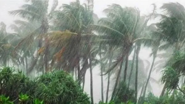 দুর্যোগকবলিত এলাকায় বাপবিবোর পদক্ষেপে বিদ্যুৎ বিপর্যয় থেকে পুনরুদ্ধার