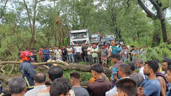 রাজবাড়ীতে ঝড়ে গাছচাপায় গৃহবধূর মৃত্যু