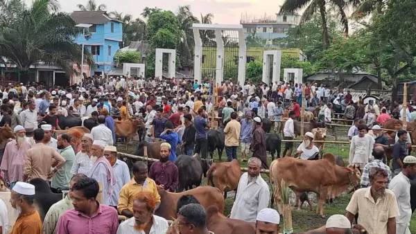 বরগুনায় শহীদ মিনার মাঠে পশুর হাট, ক্ষুব্ধ জনগণ