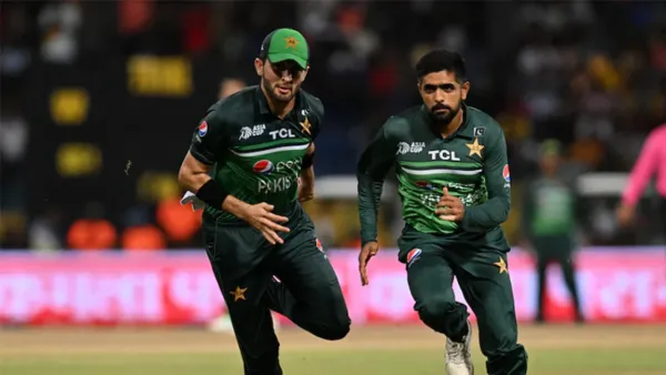 বিপদে বাবর-শাহিনরা