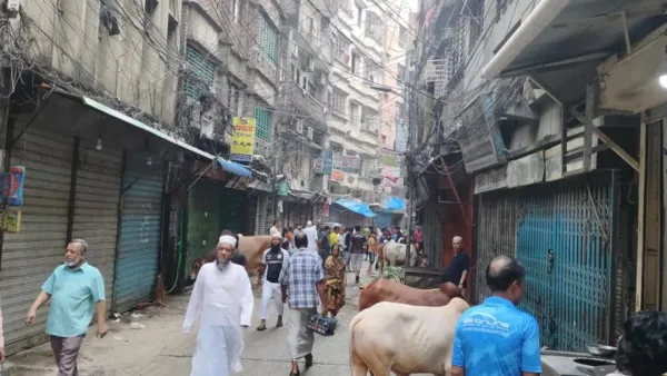 ঈদের দ্বিতীয় দিনেও চলছে পশু কোরবানি