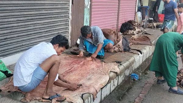চামড়া নিয়ে দুশ্চিন্তায় ভোলার ব্যবসায়ীরা, লোকসানের আশঙ্কা