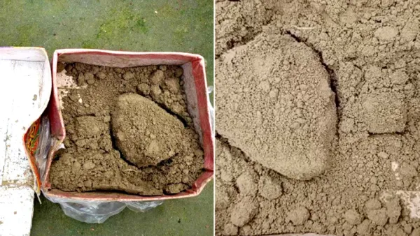 মেয়ে হওয়ায় মিষ্টির কার্টনে ইট-মাটির গুঁড়া পাঠালেন মোকছেদুল