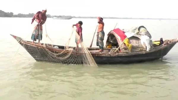 ভরা মৌসুমেও পদ্মায় ইলিশের দেখা নেই, দুশ্চিন্তায় জেলেরা