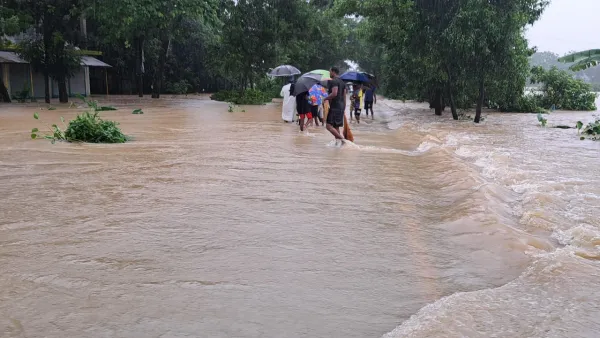 গবাদিপশু নিয়ে ছাদে আশ্রয় বানভাসি মানুষের