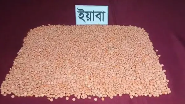 যাত্রীবাহী বাস থেকে ২৯ লাখ টাকার ইয়াবা উদ্ধার