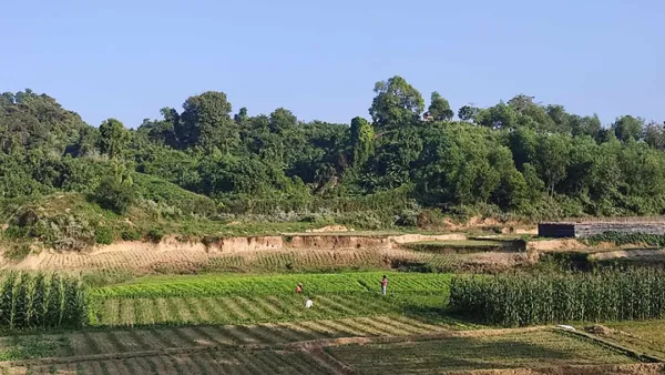 নাইক্ষ্যংছড়ি সীমান্তের ওপারে ব্যাপক গোলাগুলি শব্দ