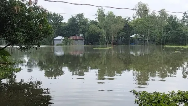 তিস্তার পানি বেড়ে লালমনিরহাটের ১৫ গ্রাম প্লাবিত