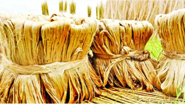 রপ্তানিতে আশা জাগাতে পারছে না পাট খাত