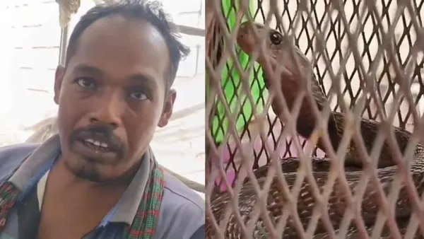 নিজ ঘরে কামড় খেয়ে সাপ নিয়েই হাসপাতালে হাজির 