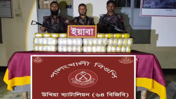 কক্সবাজারের উখিয়া থেকে ৪ লাখ ৮০ হাজার ইয়াবা জব্দ