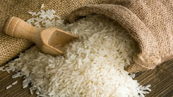 মৌসুমেও চাল কিনতে হচ্ছে অতিরিক্ত দামে