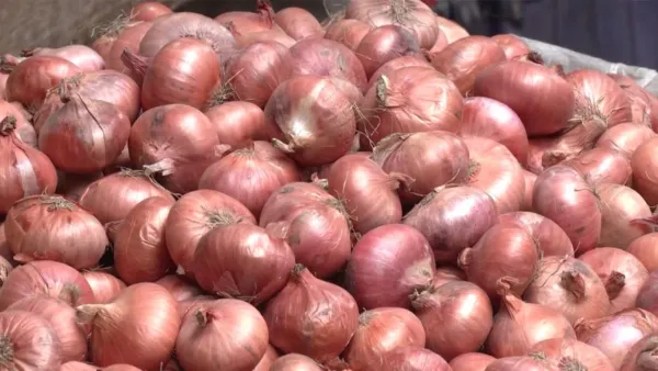 ভারত থেকে পেঁয়াজ আমদানি শুরু, কমছে দাম