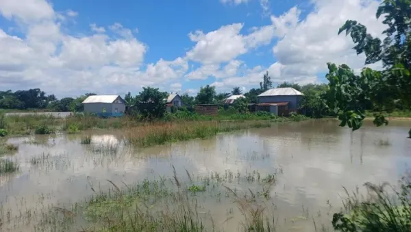 পদ্মার পানি বেড়ে ডুবেছে ৩১ গ্রাম, দুর্ভোগে ১২০০ পরিবার