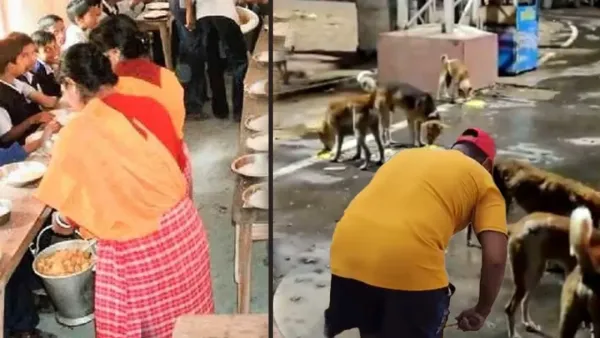 ভারতে স্কুলের শিশুদের দেওয়া হলো ‘কুকুরের খাওয়া’ খাবার