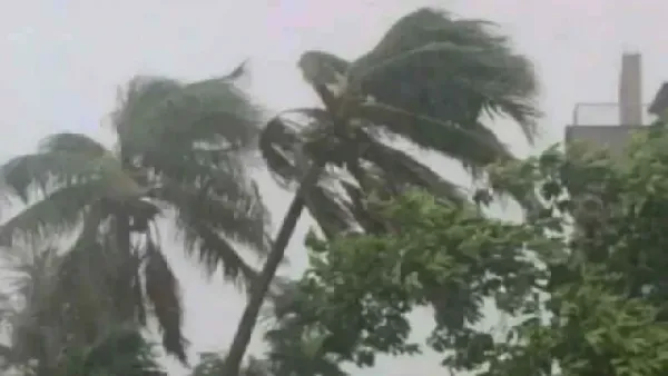 রাতে যেসব জেলায় ৬০ কিলোমিটার বেগে ঝড়-বৃষ্টি হতে পারে 