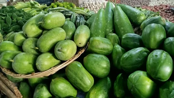 লালমনিরহাটে সবজির চড়া দাম: বিপাকে সাধারণ মানুষ