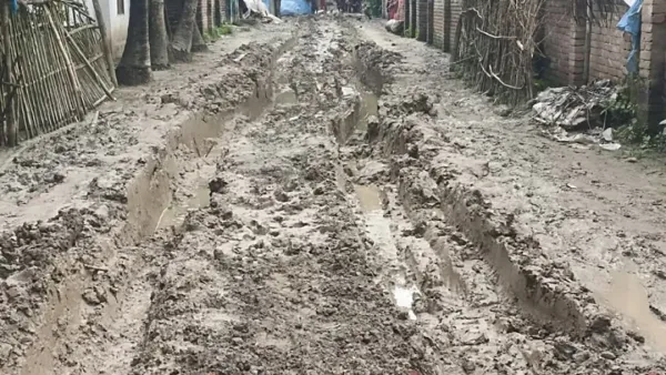 মেহেরপুরে গাংনীর ৪ কিলোমিটার সড়কের বেহাল দশা