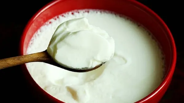ডায়াবেটিসের ঝুঁকি ম্যাজিকের মতো কমায় টক দই