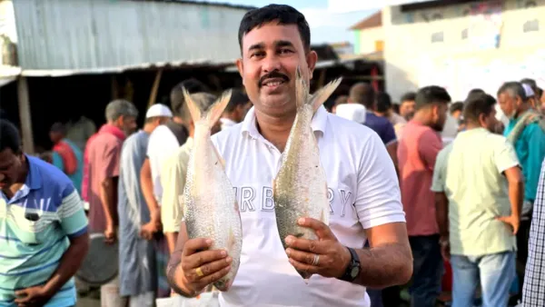 পদ্মার দুই ইলিশ ১৬ হাজারে বিক্রি