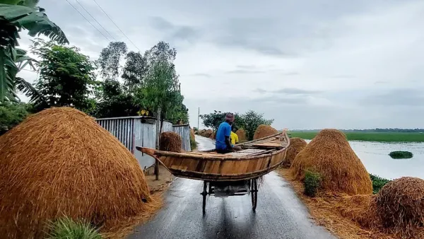 চলনবিলে বর্ষায় নৌকার কদর