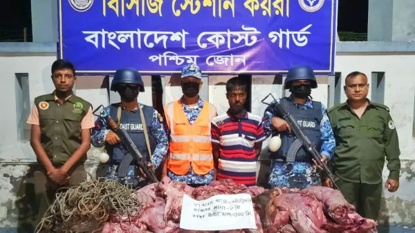 সুন্দরবনে হরিণের মাংসসহ শিকারি আটক