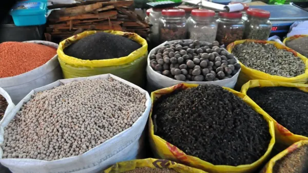 সার সিন্ডিকেট ভাঙতেই নতুন নীতিমালা