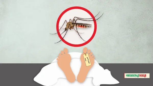 ডেঙ্গুতে প্রাণ গেল আরও ৫ জনের 