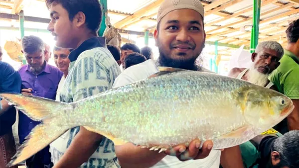 এক ইলিশের দাম ১৪ হাজার টাকা!