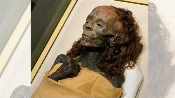 ফেরাউনদের ছায়ায় থেকেও আলো ছড়ানো নারী ‘রানী টিয়ে’