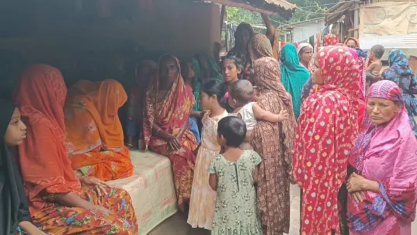 চুয়াডাঙ্গার সীমান্ত থেকে বাংলাদেশিকে নিয়ে গেছে বিএসএফ