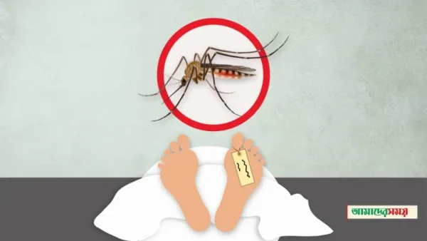 চলতি বছর ডেঙ্গুতে ২০০ জনের মৃত্যু