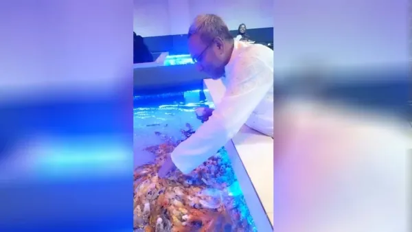 বাহারি মাছের খামার: শখ নয়, সম্ভাবনার বিশ্ববাজার