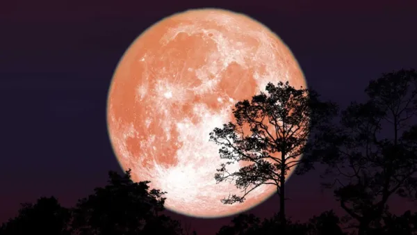 বছরের প্রথম সুপারমুন আসছে, জেনে নিন সব গুরুত্বপূর্ণ তথ্য