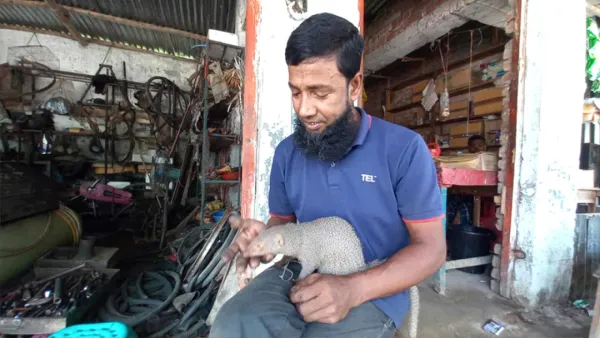 মানুষ-বেজির বন্ধুত্ব, ভালোবেসে নাম রেখেছেন লালু