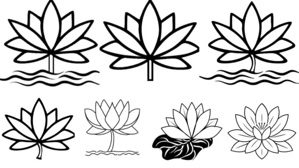 ইসিকে দেওয়া শাপলার ৭ নমুনা প্রকাশ এনসিপির