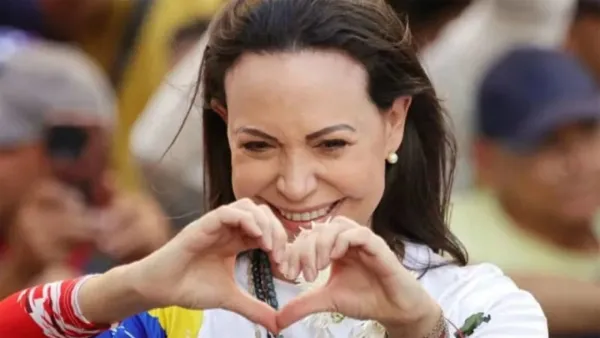 ঘনায়মান অন্ধকারে উজ্জ্বল জোনাকি