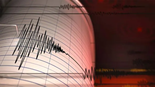 শক্তিশালী ভূমিকম্পে কেঁপে উঠল ইন্দোনেশিয়া 